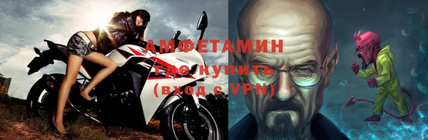 прущие грибы Канск
