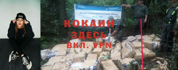 spice Вяземский