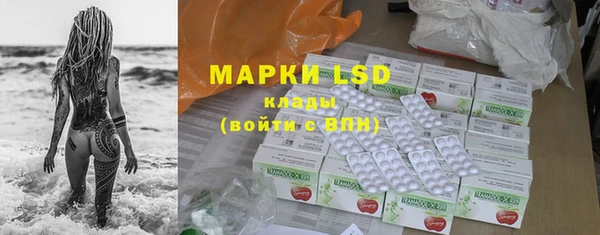 spice Вяземский