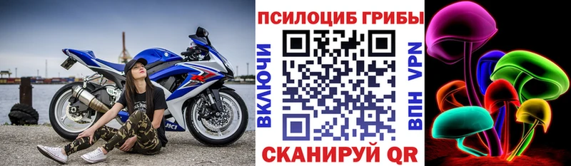 Псилоцибиновые грибы прущие грибы  Мариинск 